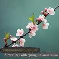 A New Day with Spring-colored Bossa - Underground Jungle