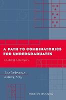 A Path to Combinatorics for Undergraduates - Andreescu Titu, Feng Zuming