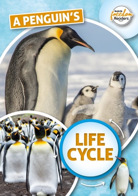 A Penguins Life Cycle - Madeline Tyler | Książka w Empik