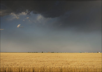 A perfectly flat wheatfield, worthy of western Kansas, Carol Highsmith - plakat 42x29,7 cm - Galeria Plakatu