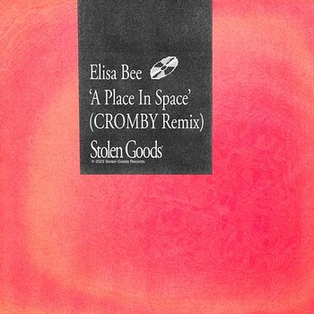 A Place In Space - Elisa Bee