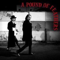 A Pound of Feathers The Black Crowes