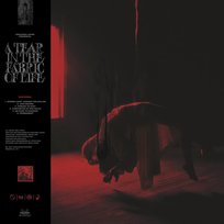 A Tear In The Fabric Of Life Knocked Loose