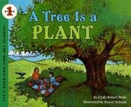 A Tree Is a Plant Opracowanie zbiorowe