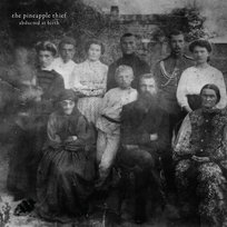 Abducted At Birth The Pineapple Thief