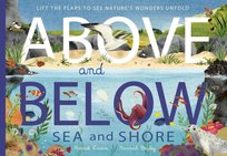 Above and Below: Sea and Shore: Lift the flaps to see nature's wonders unfold Evans Harriet