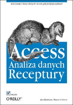 Access. Analiza danych. Receptury - Bluttman Ken, Freeze Wayne