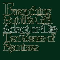 Everything But The Girl「Temperamental」 Everything But The Girl – Temperamental – Vinyl (12