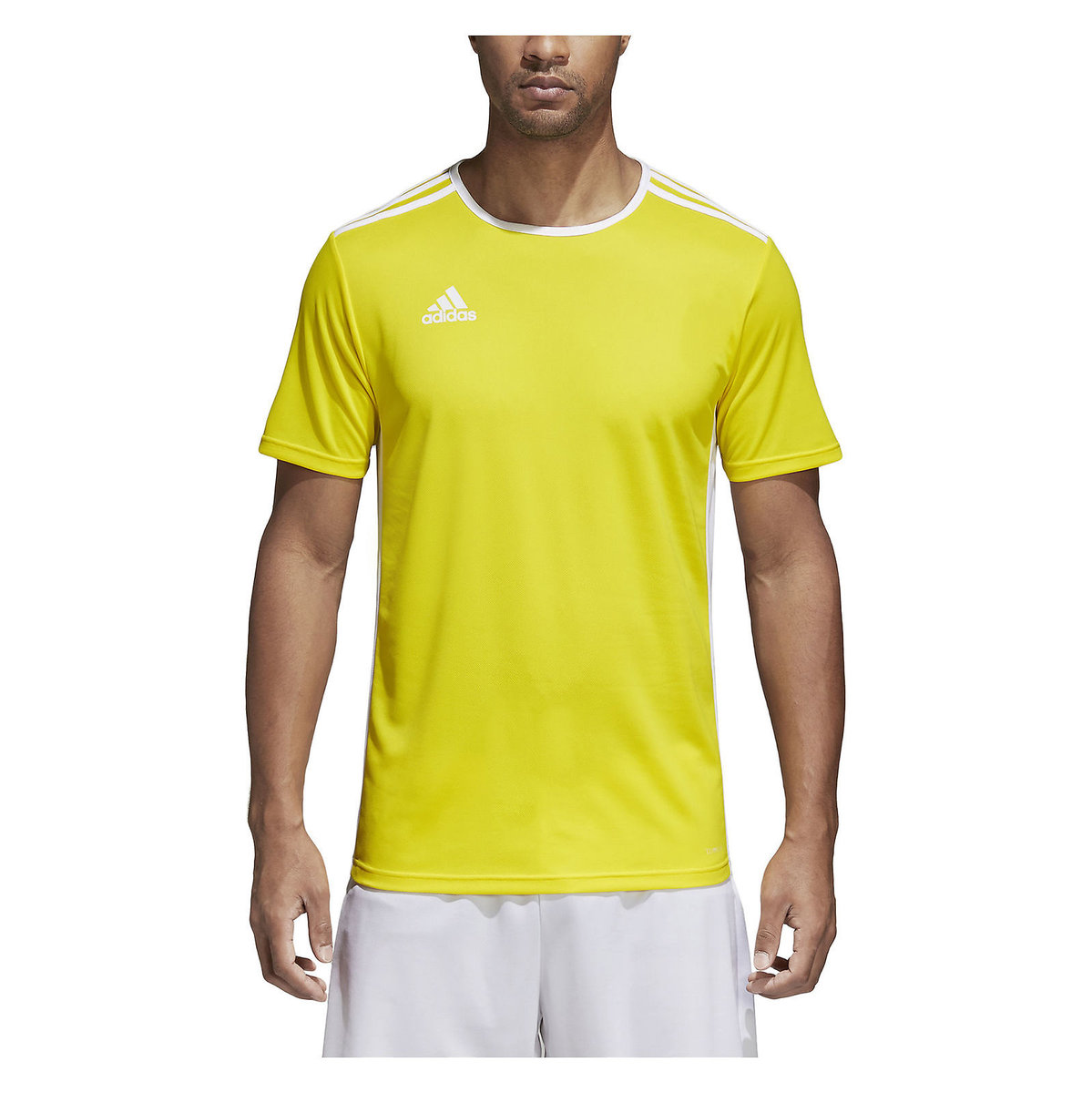 Фото - Футбольна форма Adidas , Koszulka męska, Entrada 18 JSY CD8390, rozmiar S 