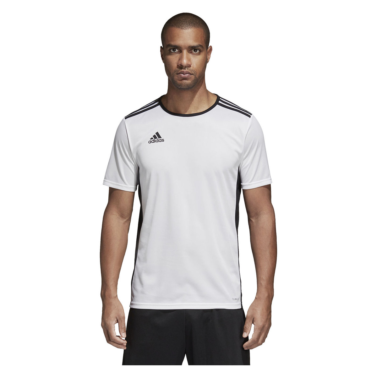 Фото - Футбольна форма Adidas , Koszulka męska, Entrada 18 JSY CD8438, rozmiar M 