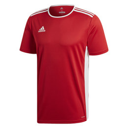 Adidas, Koszulka męska, Entrada 18 JSY CF1038, rozmiar XL-Zdjęcie-0