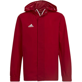 Adidas, Kurtka ENTRADA 22 AW Jacket Y HG6300, 128 cm, czerwony - Adidas