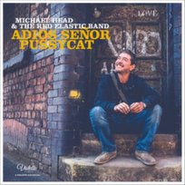 Adiós Señor Pussycat Michael Head & The Red Elastic Band