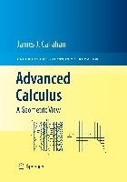 Advanced Calculus - Callahan James J.