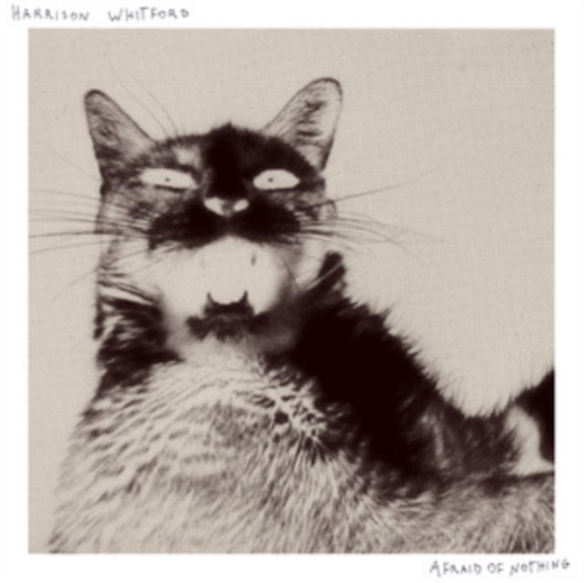 Afraid of Nothing, płyta winylowa Screwdriver Records Muzyka Sklep