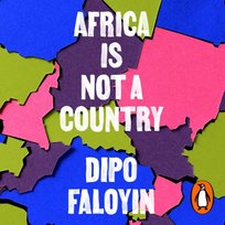 Africa Is Not A Country - audiobook Dipo Faloyin