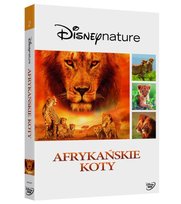 Afrykańskie koty