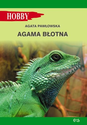 Agama błotna