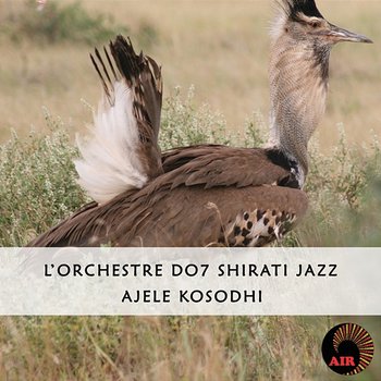 Ajele Kosodhi - L'Orchestre D.O.7 Shirati Jazz
