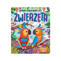Aksjomat, Książeczka sensoryczna, Zwierzęta, twarda, 10 stron Aksjomat