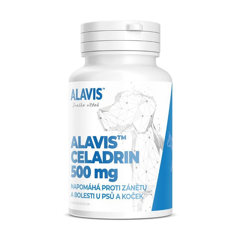 Фото - Ліки й вітаміни Alavis ™ Celadrin 500 mg Przeciwzapalny i przeciwbólowy 60kaps 