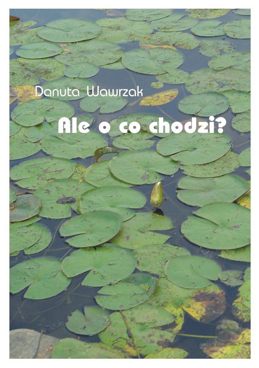 Ale o co chodzi? - ebook epub
