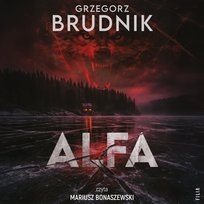 Nowości i bestsellery audiobooki
