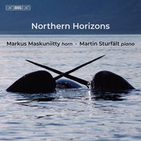 Alfven/Nielsen/Rontgen: Northern Horizons Maskuniitty Markus, Sturfalt Martin