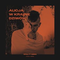 Alicja w Krainie Dziwów (prod. Gibbs) Opał, Gibbs