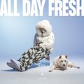 All Day Fresh - Asster