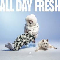 ALL DAY FRESH Asster