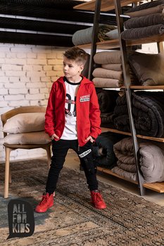 All For Kids, Bluza chłopięca, Original, rozmiar 104/110 - All For Kids