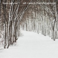 All I Want (For Christmas) Liam Payne