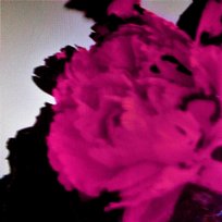 All of Me John Legend