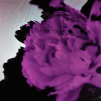 All of Me (Tiësto's Birthday Treatment Remix) John Legend