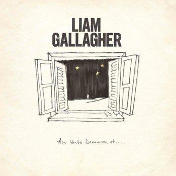 All You're Dreaming Of, płyta winylowa - Gallagher Liam
