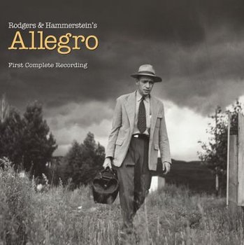 Allegro Various Artists Muzyka Sklep Empikcom