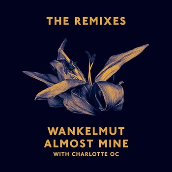 Almost Mine (The Remixes) - Wankelmut, Charlotte OC