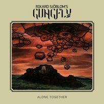 Alone Together Rikard Sjöblom's Gungfly