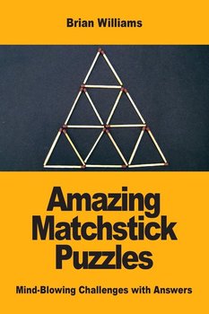 Amazing Matchstick Puzzles - Williams Brian