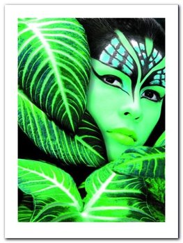Amazona The Jungle plakat obraz 60x80cm - Wizard+Genius