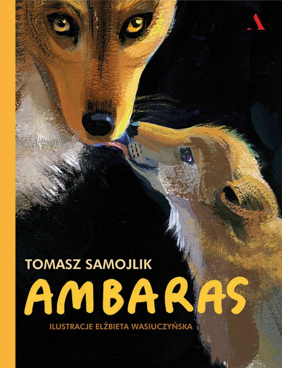 Ambaras - ebook mobi