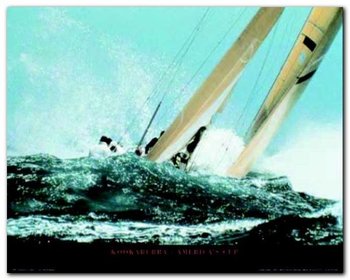 America-S Cup plakat obraz 50x40cm - Wizard+Genius