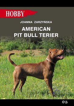 American Pit Bull Terier - Zarzyńska Joanna