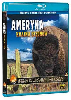 Ameryka: Kraina bizonów - Begoin Stephane