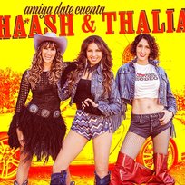 Amiga Date Cuenta Thalia, HA-ASH