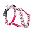 Amiplay BeHappy Szelki regulowane Guard rozmiar M watermelon - Amiplay