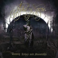 Among Ashes And Monoliths Ablaze My Sorrow