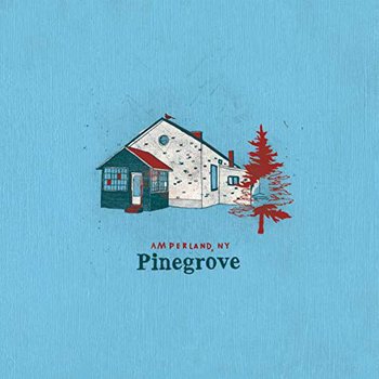 Amperland, NY, płyta winylowa - Pinegrove