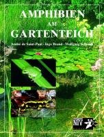 Amphibien am Gartenteich SaintPaul Andre Książka w Empik